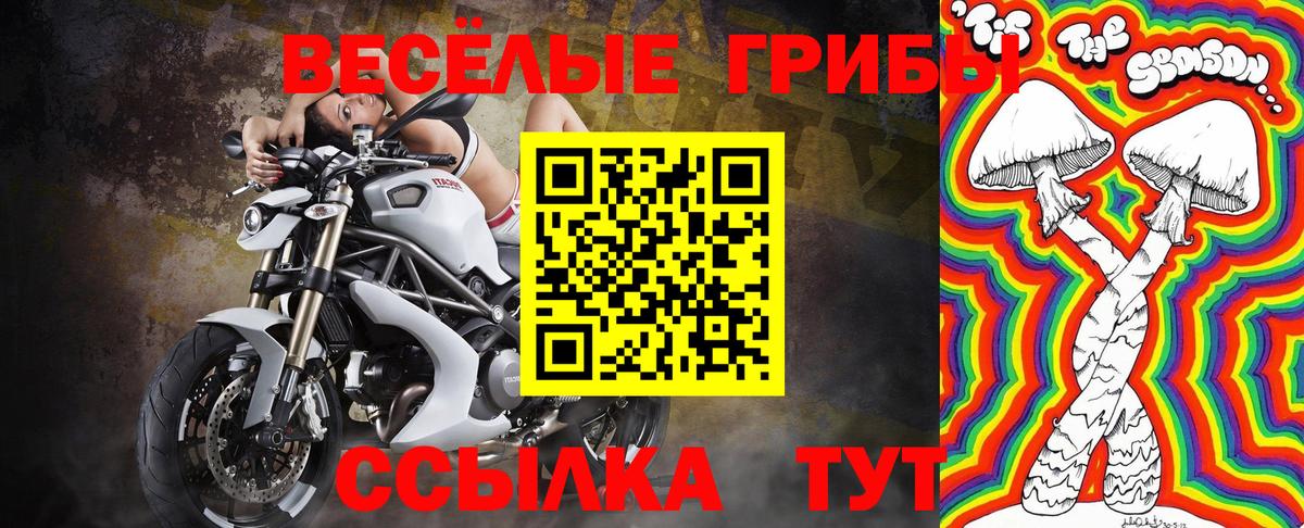 Аша  Псилоцибиновые грибы мухоморы  Псилоцибиновые грибы GOLDEN TEACHER  Вход с VPN 