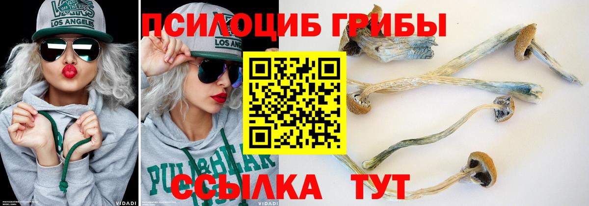 Псилоцибиновые грибы мицелий Аша